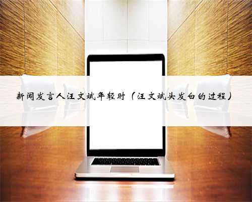 新闻发言人汪文斌年轻时（汪文斌头发白的过程）