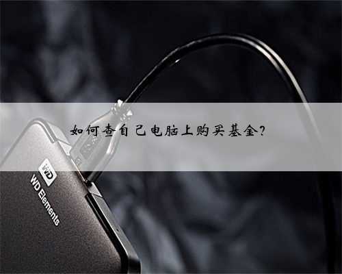 如何查自己电脑上购买基金？