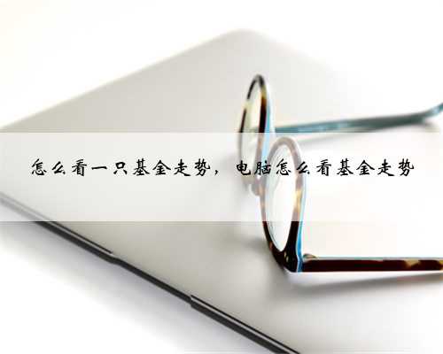 怎么看一只基金走势，电脑怎么看基金走势