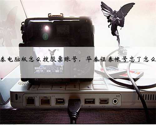 华泰电脑版怎么搜股票账号，华泰证券帐号忘了怎么办