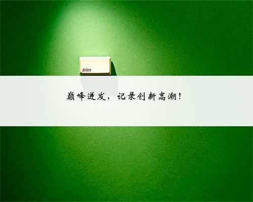 巅峰迸发，记录创新高潮！