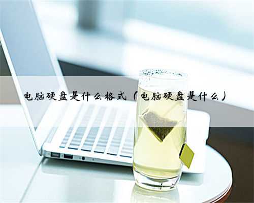 电脑硬盘是什么格式（电脑硬盘是什么）