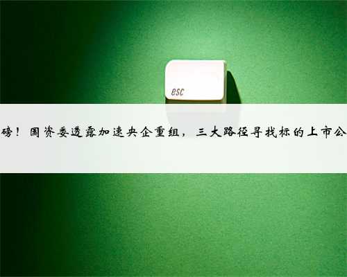 重磅！国资委透露加速央企重组，三大路径寻找标的上市公司