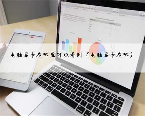电脑显卡在哪里可以看到（电脑显卡在哪）