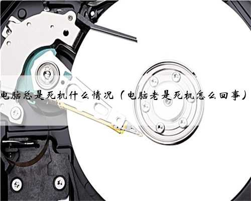 电脑总是死机什么情况（电脑老是死机怎么回事）