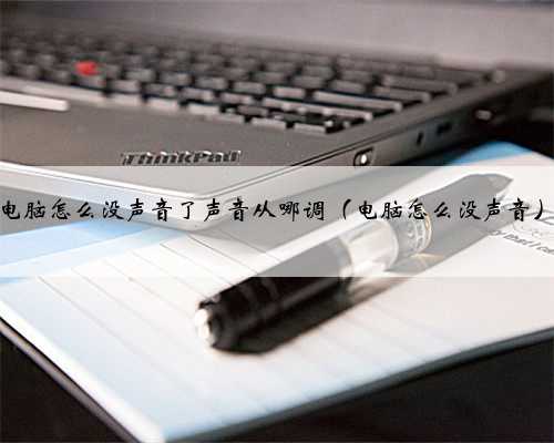 电脑怎么没声音了声音从哪调（电脑怎么没声音）
