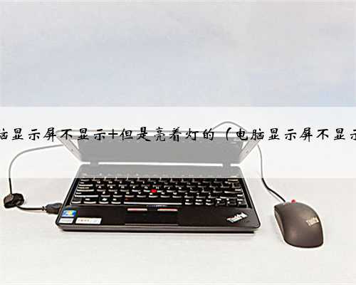 电脑显示屏不显示 但是亮着灯的（电脑显示屏不显示）