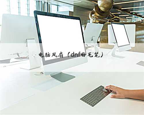 电脑风扇（dnf白毛笔）