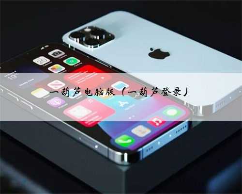 一葫芦电脑版(一葫芦登录)