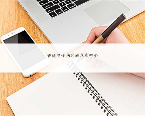 普通电子狗的缺点有哪些