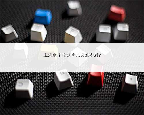 上海电子眼违章几天能查到?