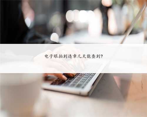 电子眼拍到违章几天能查到?