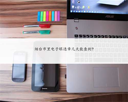 烟台市里电子眼违章几天能查到?