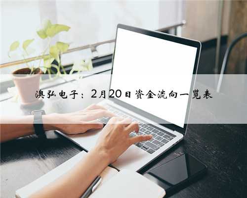 澳弘电子：2月20日资金流向一览表