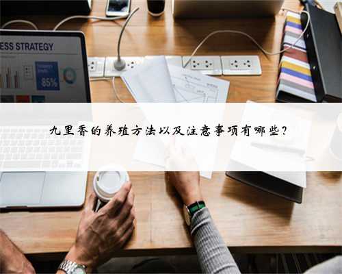 九里香的养殖方法以及注意事项有哪些？