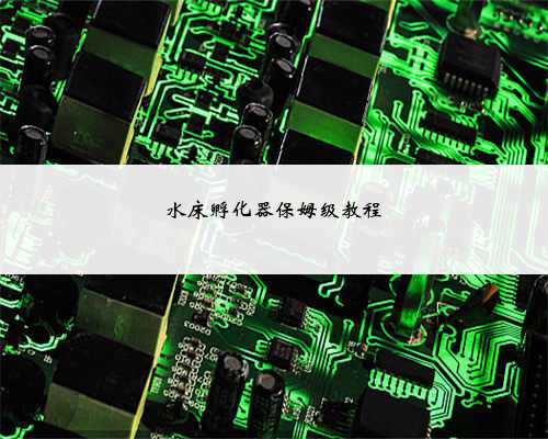 水床孵化器保姆级教程