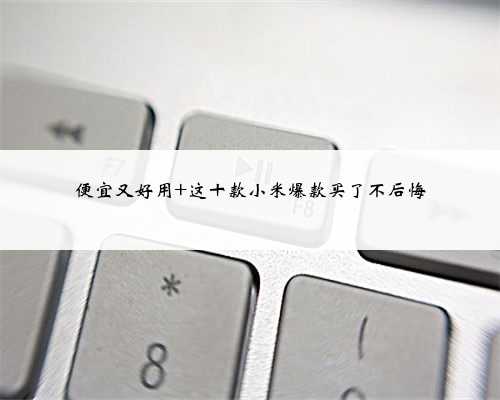 便宜又好用 这十款小米爆款买了不后悔