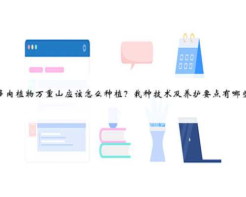 多肉植物万重山应该怎么种植？栽种技术及养护要点有哪些