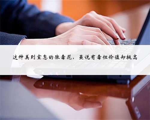 这种美到窒息的狼毒花，虽说有毒但价值却挺高