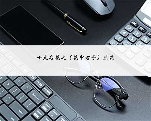 十大名花之（花中君子）兰花