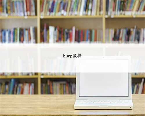 burp数据