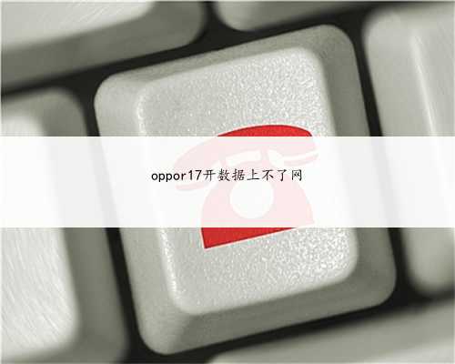oppor17开数据上不了网