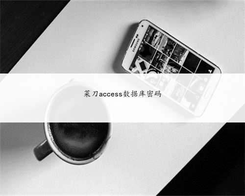 菜刀access数据库密码
