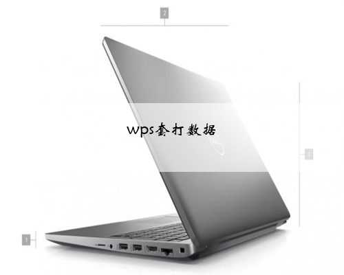 wps套打数据