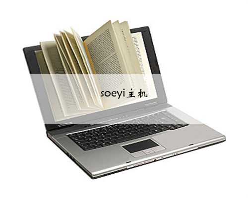 soeyi主机