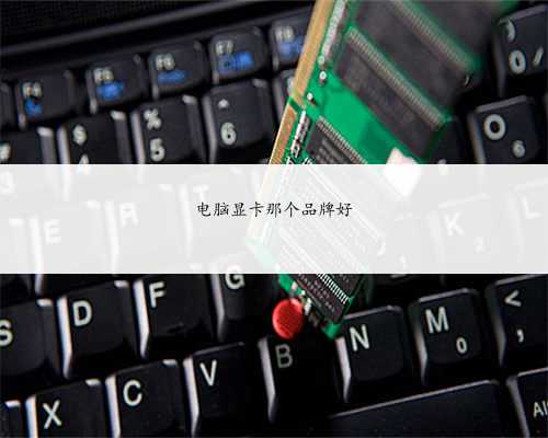 电脑显卡那个品牌好
