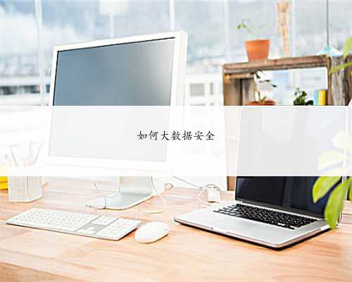 如何大数据安全
