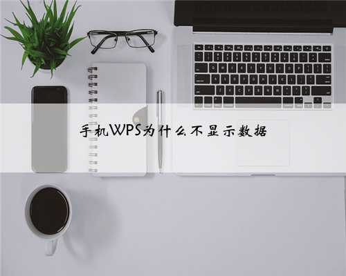 手机WPS为什么不显示数据