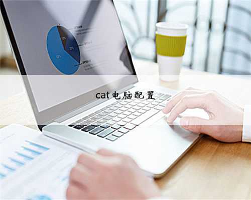 cat电脑配置