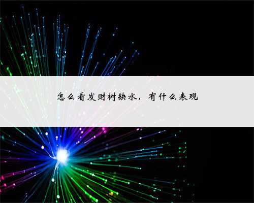 怎么看发财树缺水，有什么表现