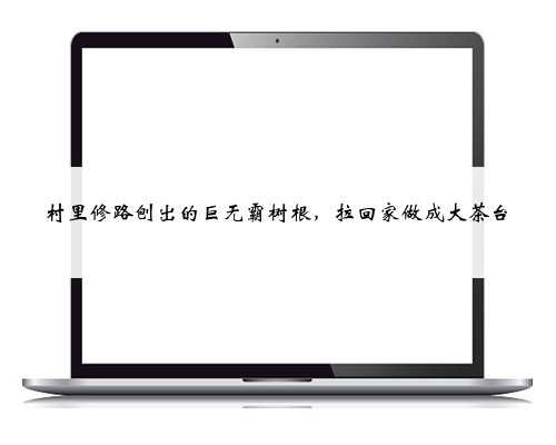 村里修路刨出的巨无霸树根，拉回家做成大茶台