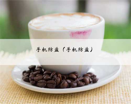 手机防盗（手机防盗）