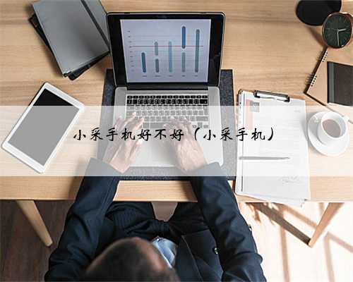 小采手机好不好（小采手机）