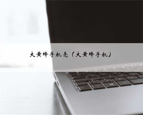 大黄蜂手机壳（大黄蜂手机）