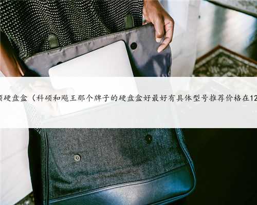 科硕硬盘盒（科硕和飚王那个牌子的硬盘盒好最好有具体型号推荐价格在120）