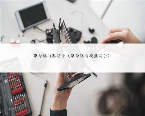 华为路由器助手（华为路由硬盘助手）
