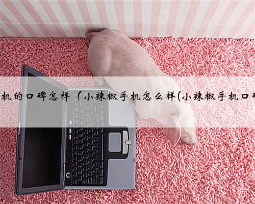 小辣椒手机的口碑怎样（小辣椒手机怎么样(小辣椒手机口碑如何)）