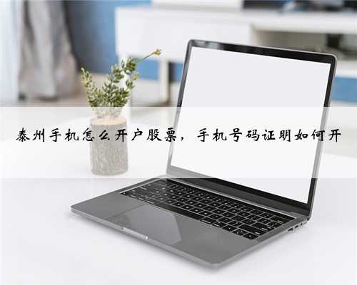 泰州手机怎么开户股票，手机号码证明如何开