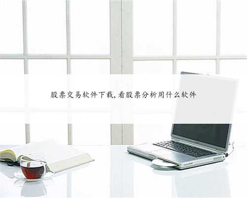 股票交易软件下载,看股票分析用什么软件