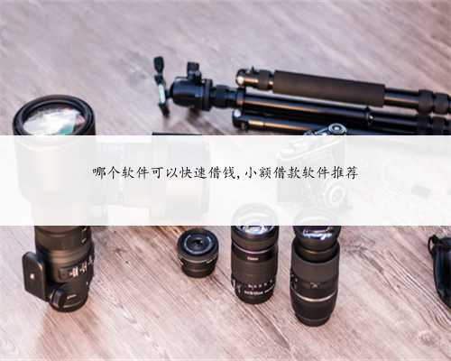 哪个软件可以快速借钱,小额借款软件推荐