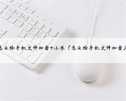 怎么给手机文件加密 小米（怎么给手机文件加密）