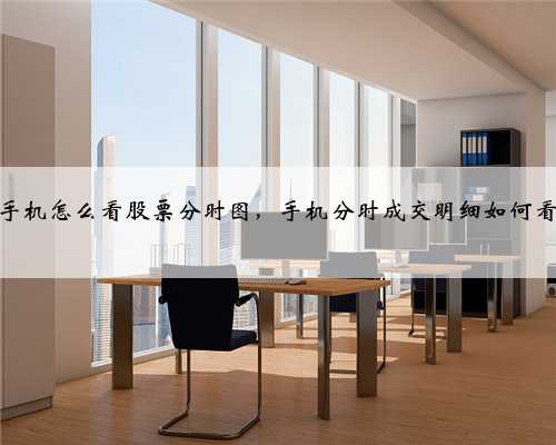 手机怎么看股票分时图，手机分时成交明细如何看