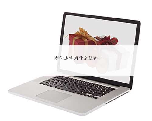 查询违章用什么软件