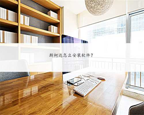 斯柯达怎么安装软件？