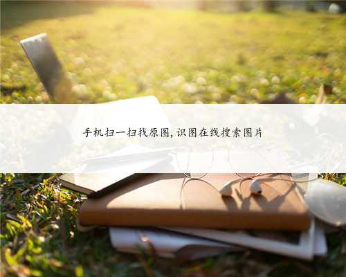 手机扫一扫找原图,识图在线搜索图片