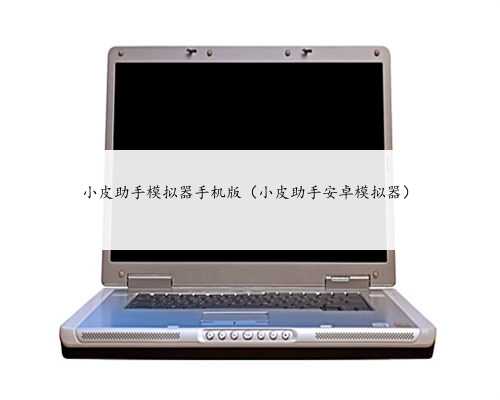 小皮助手模拟器手机版（小皮助手安卓模拟器）